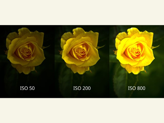 imagem mostrando como os diferentes níveis de ISO afetam a fotografia