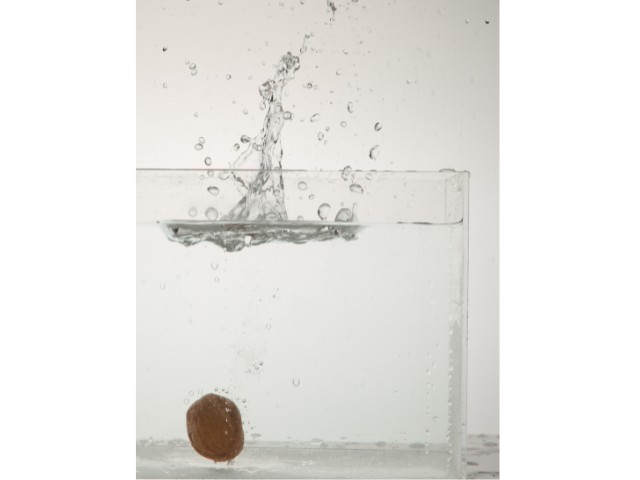 Fotografia que capturou o movimento da água quando uma sememente é joga dentro de um copo