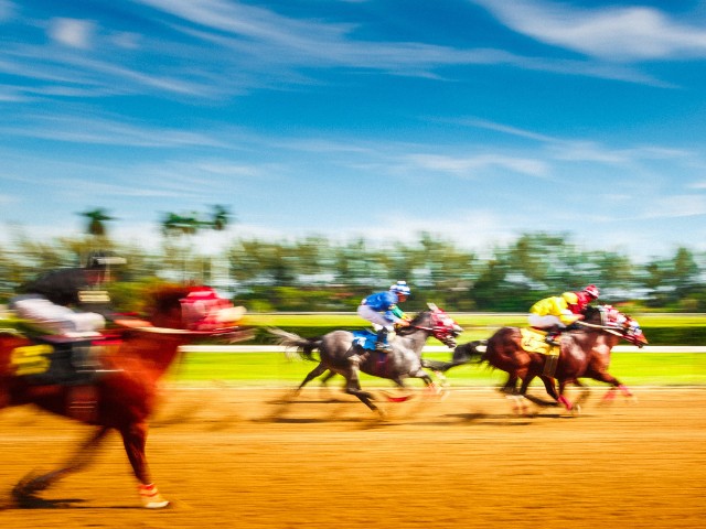 fotografia de corrida de cavalos em movimentos- efeitos para fotos