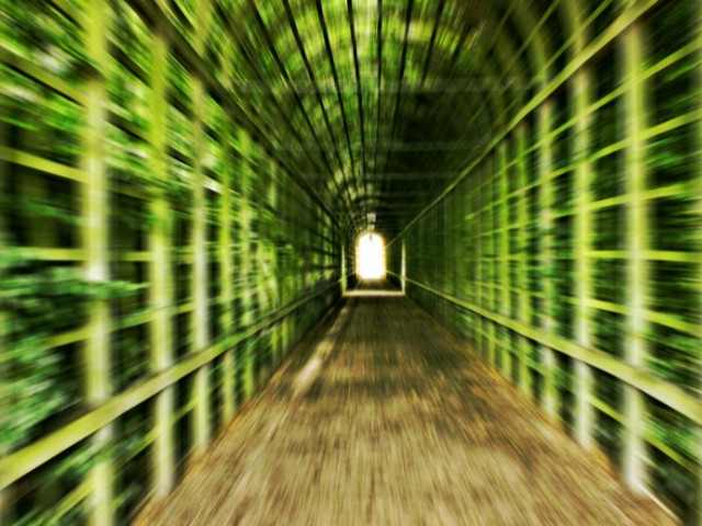 fotografia de um túnel verde e desfocado