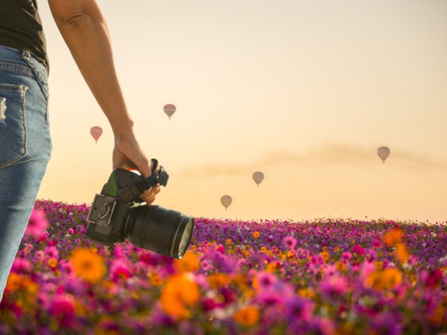 Mulher fotografa em um campo chei de flores. Essa pode ser uma fotografia NFT, mas afinal o que é NFT. Leia nosso artigo completo.