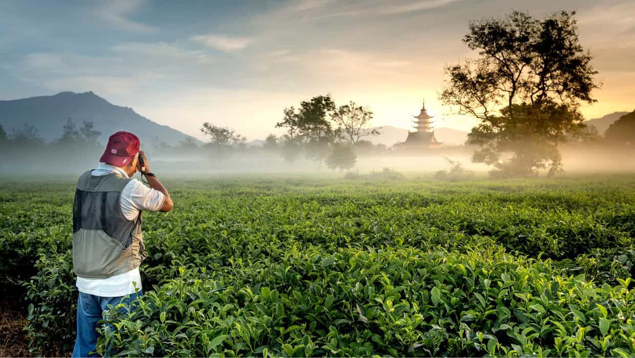 Você sabe o que é fotografia nft