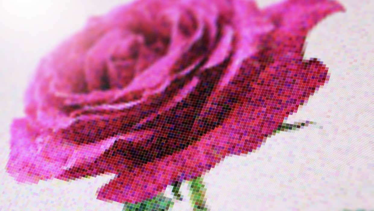 Imagem de uma rosa com pixels bem aparentes. O que é pixel? entenda nesse artigo -