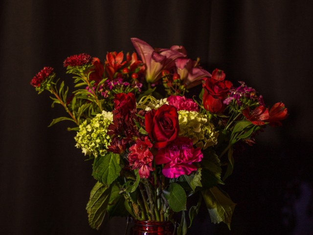 Fotografia de flores no estilo Chiaroscuro.
