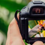 Composição na fotografia