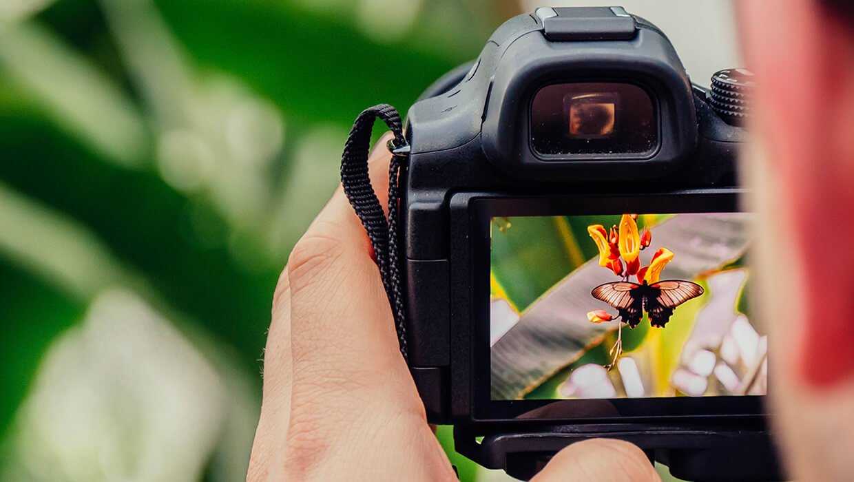 Composição na fotografia