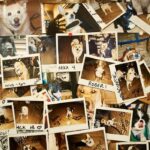 Foto Polaroid