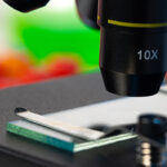 Microfotografia